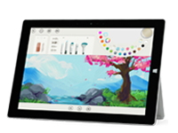 涡阳Surface 无法开启、Windows 无法启动或电池无法充电
